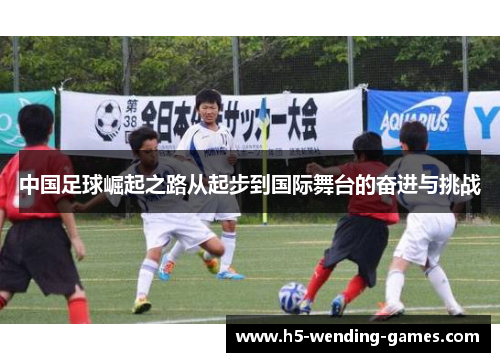 中国足球崛起之路从起步到国际舞台的奋进与挑战