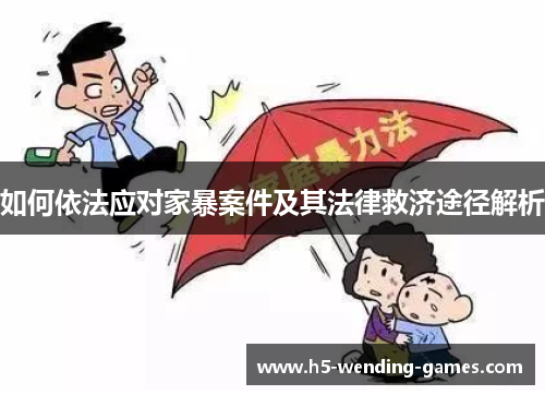 如何依法应对家暴案件及其法律救济途径解析