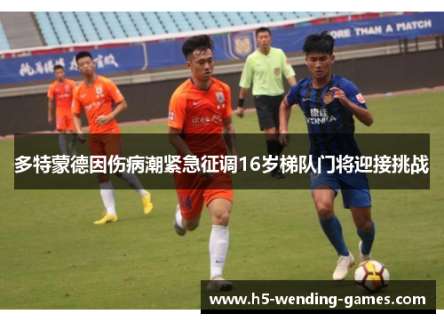 多特蒙德因伤病潮紧急征调16岁梯队门将迎接挑战 多特蒙德因伤病潮紧急征调16岁梯队门将迎接挑战